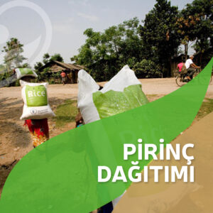 Pirinç Dağıtımı