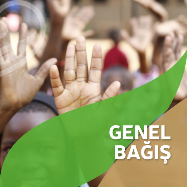 Genel Bağış
